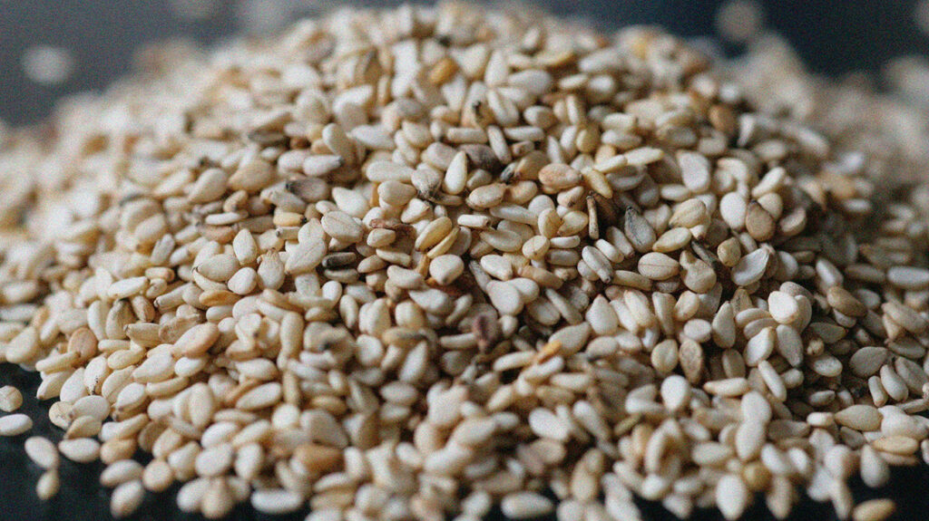 Fit with Ammara 4 Seeds Power Pack