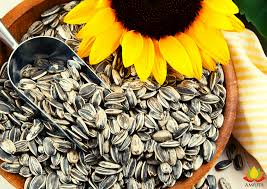 Fit with Ammara 4 Seeds Power Pack