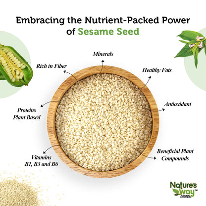 Fit with Ammara 4 Seeds Power Pack