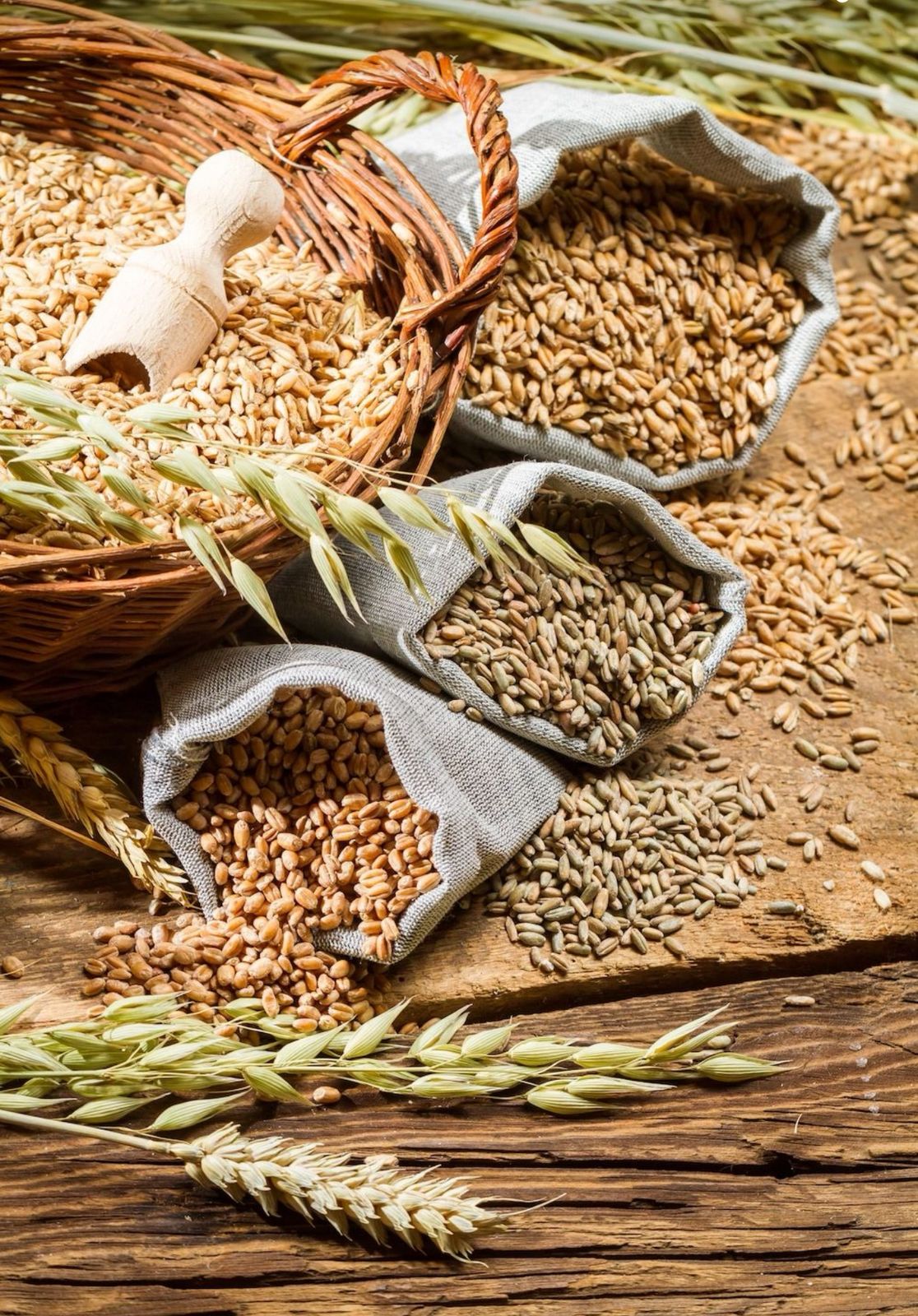 Fit with Ammara High Fiber Multigrain Diet Atta